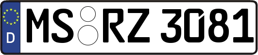 MS-RZ3081