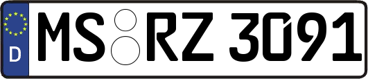 MS-RZ3091