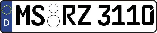 MS-RZ3110