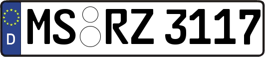 MS-RZ3117