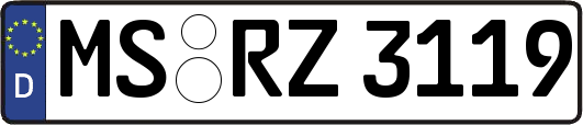 MS-RZ3119