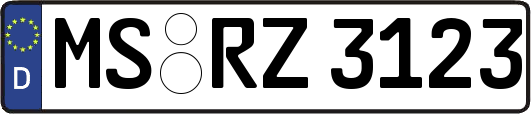 MS-RZ3123