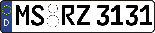 MS-RZ3131
