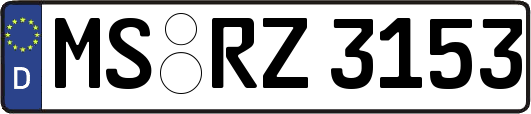 MS-RZ3153