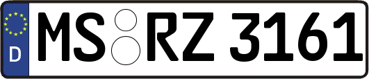 MS-RZ3161