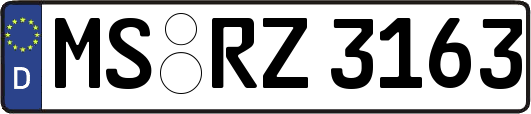 MS-RZ3163