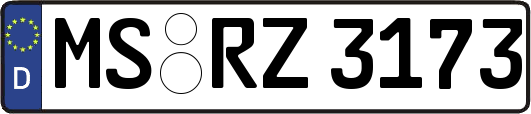 MS-RZ3173