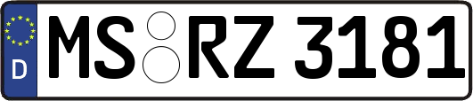 MS-RZ3181