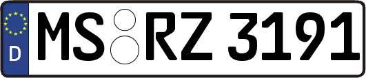 MS-RZ3191