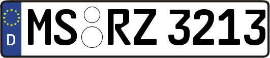 MS-RZ3213
