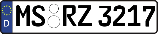 MS-RZ3217