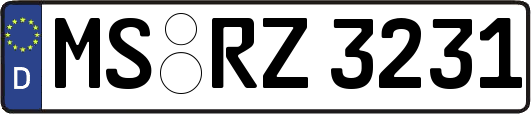 MS-RZ3231