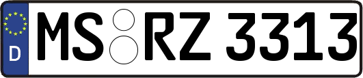 MS-RZ3313