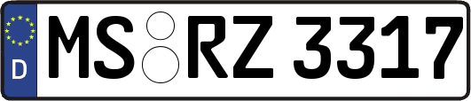 MS-RZ3317