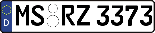 MS-RZ3373
