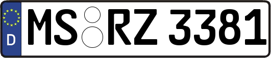 MS-RZ3381