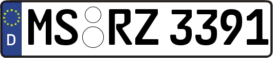 MS-RZ3391