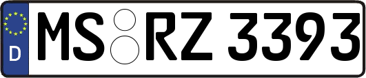 MS-RZ3393