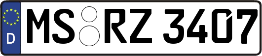MS-RZ3407