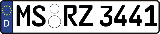 MS-RZ3441