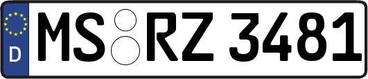 MS-RZ3481