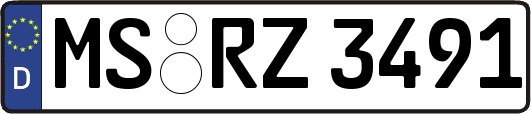 MS-RZ3491