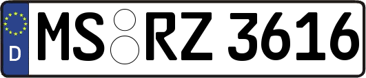 MS-RZ3616