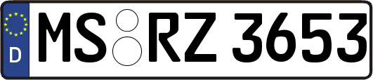 MS-RZ3653