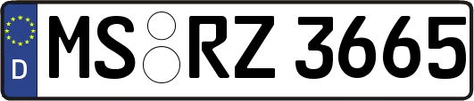 MS-RZ3665