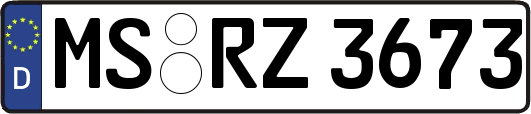 MS-RZ3673
