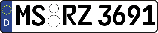 MS-RZ3691