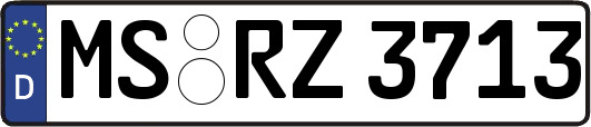 MS-RZ3713