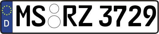 MS-RZ3729