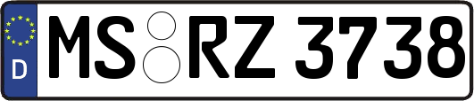 MS-RZ3738