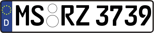 MS-RZ3739