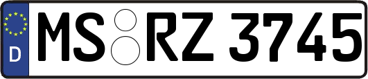 MS-RZ3745