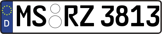 MS-RZ3813