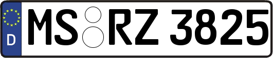MS-RZ3825
