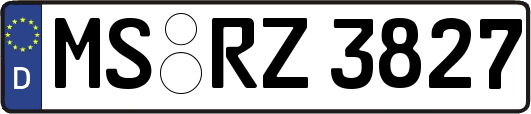 MS-RZ3827
