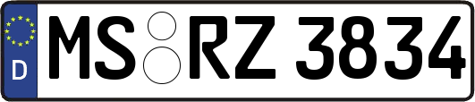 MS-RZ3834