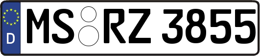 MS-RZ3855