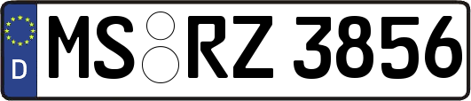 MS-RZ3856