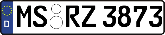 MS-RZ3873