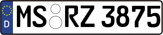MS-RZ3875