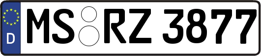MS-RZ3877