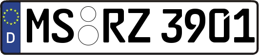 MS-RZ3901