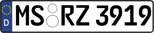 MS-RZ3919