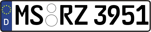 MS-RZ3951