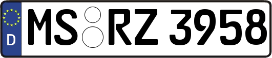 MS-RZ3958