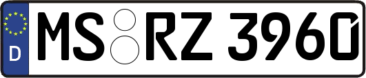 MS-RZ3960